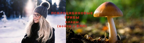 спайс Белокуриха